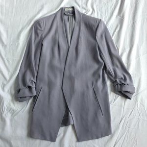 Aritzia Babaton Power Blazer